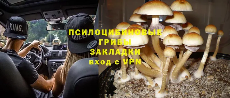 Галлюциногенные грибы Magic Shrooms  мориарти состав  Егорьевск  цены наркотик 